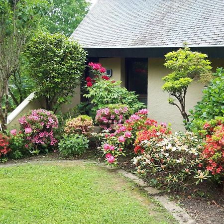 Jardin Des Chats Sévignacq-Meyracq Exteriör bild