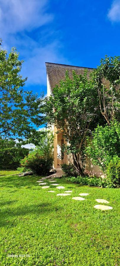 Jardin Des Chats Sévignacq-Meyracq Exteriör bild