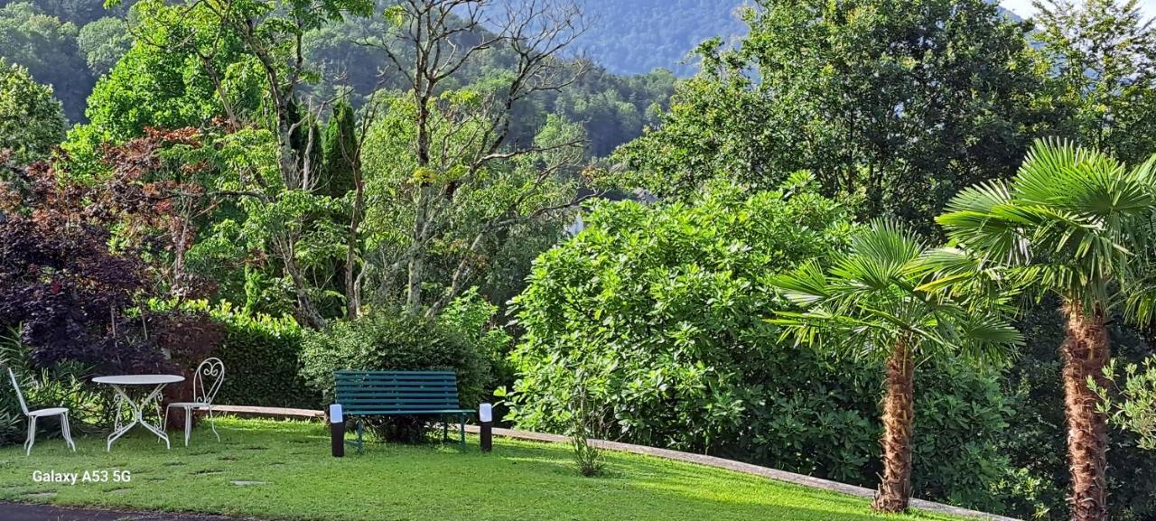 Jardin Des Chats Sévignacq-Meyracq Exteriör bild