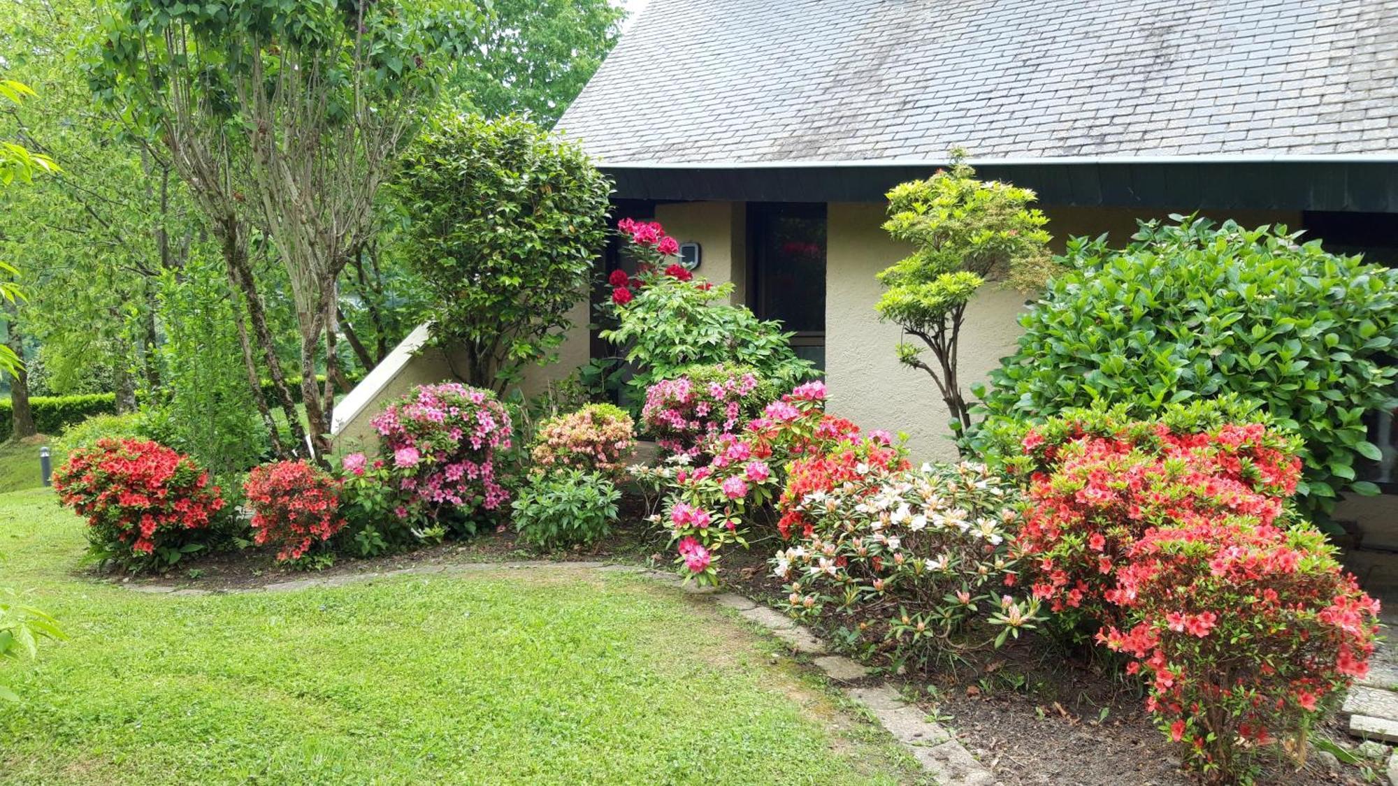 Jardin Des Chats Sévignacq-Meyracq Exteriör bild